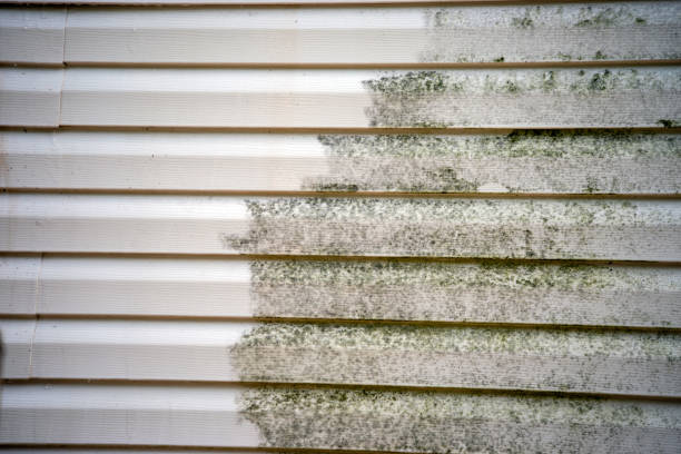 Best Appliance Removal  in Oak Grove, AL